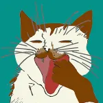 Chats du Kerry, une application aux histoires de chats en anglais et en français