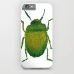 26780445_12946534
